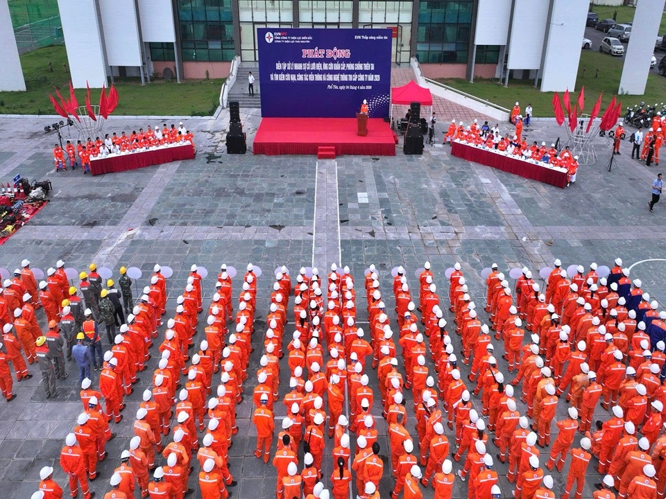 Dientap20262