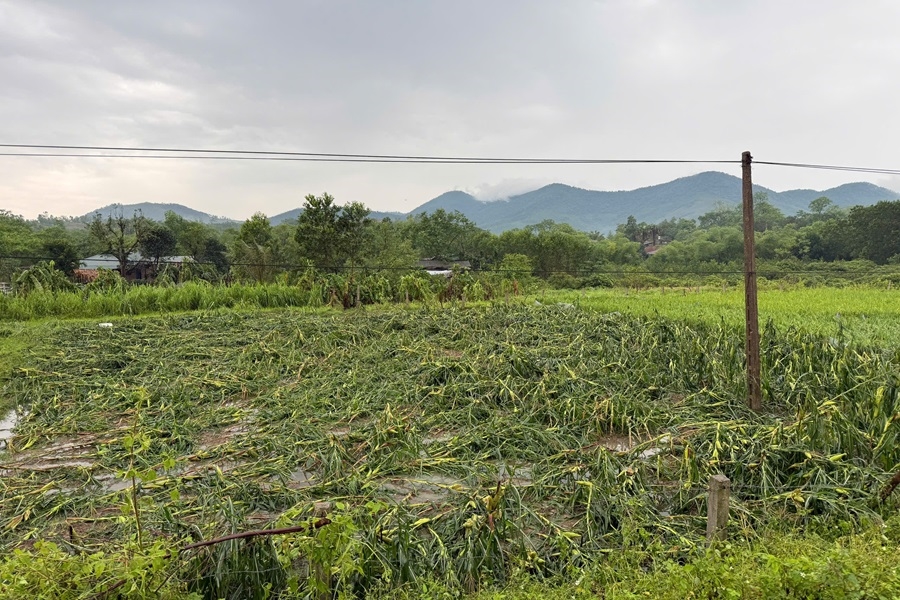 Khac phuc su co Phu Luong 10