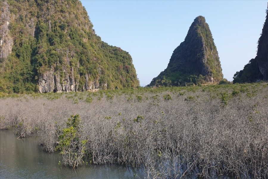 image-1