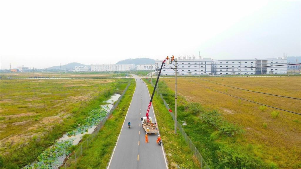 điện lực 8