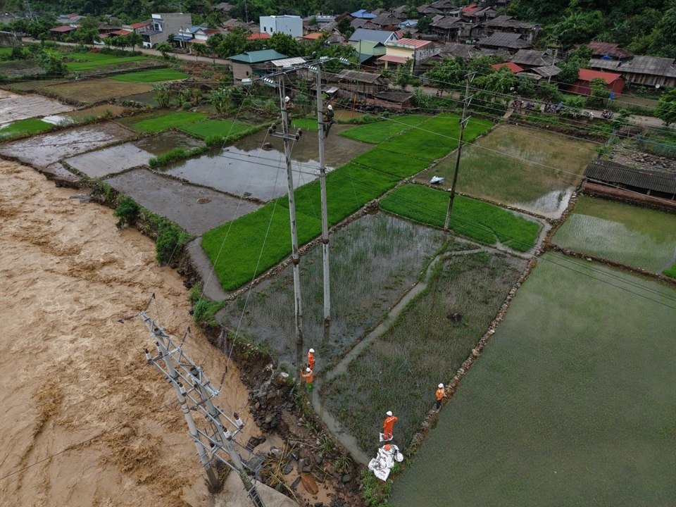 banHuaNam (5)
