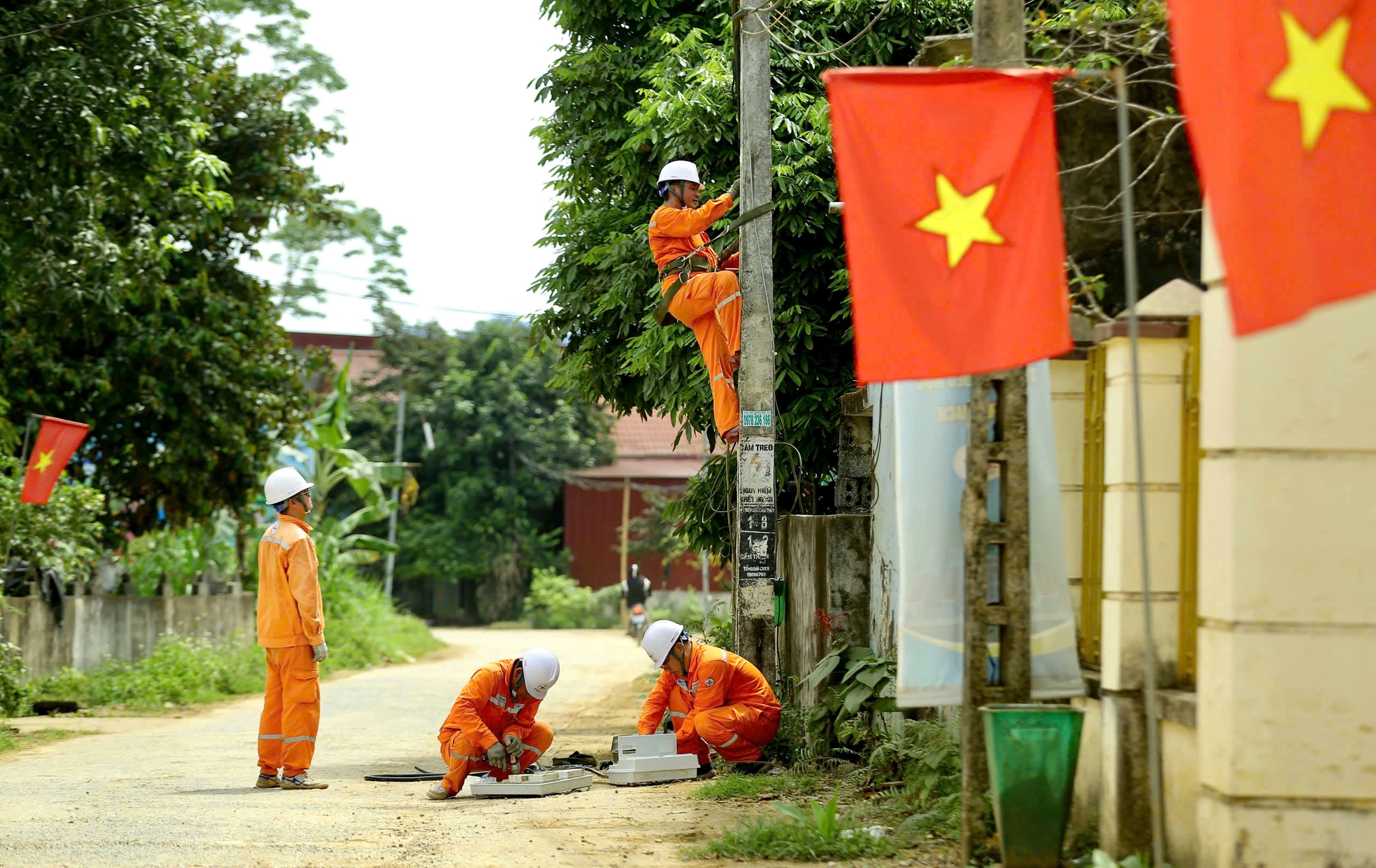 Ảnh bài đăng (6)