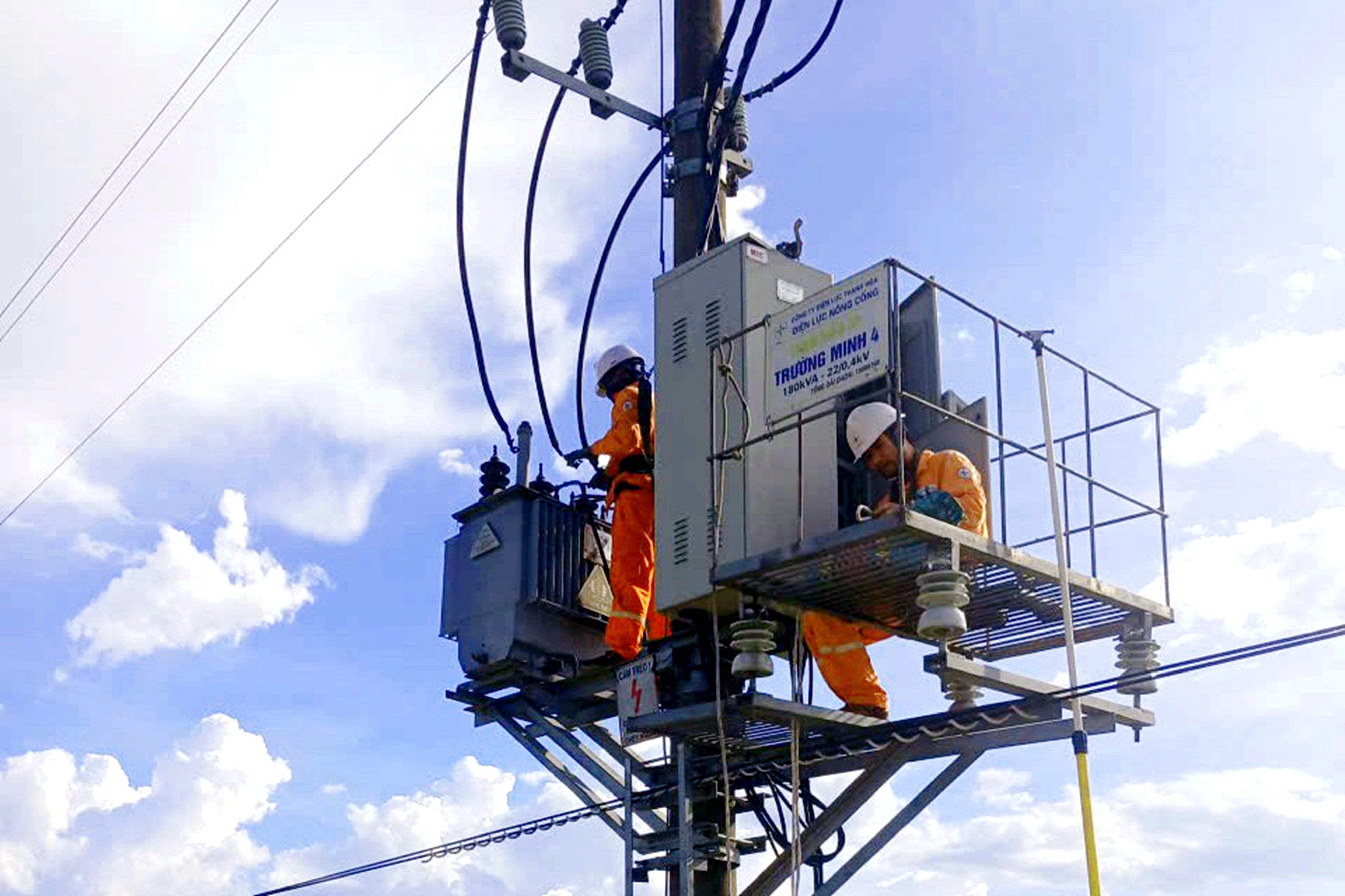 Nông Cống T7 (1)