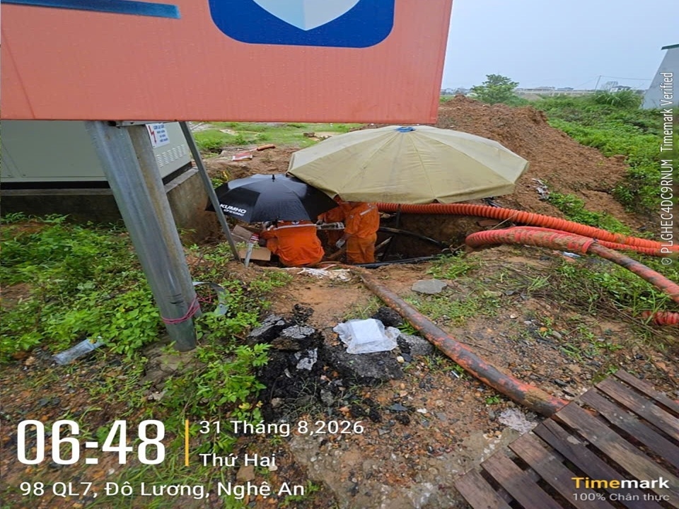 Ảnh 3