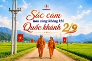 EVNNPC: Sắc áo cam thầm lặng giữ nhịp dòng điện ngày Tết Độc lập