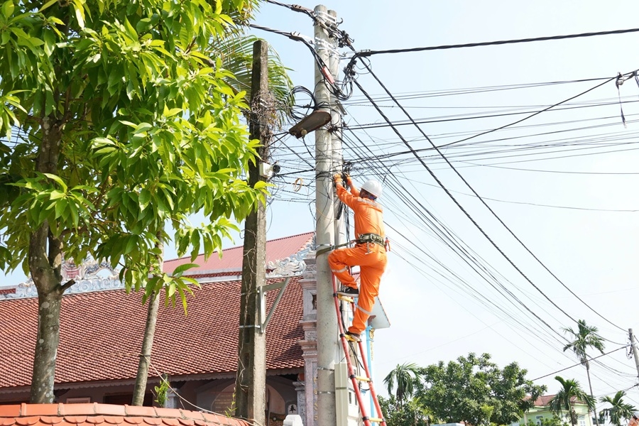 Công ty Điện lực Ninh Bình phối hợp các nhà mạng chỉnh trang, bó gọn cáp viễn thông