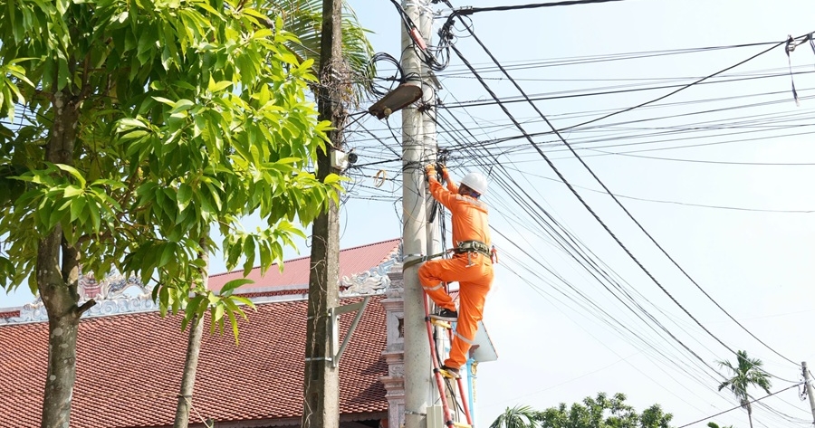 Công ty Điện lực Ninh Bình phối hợp các nhà mạng chỉnh trang, bó gọn cáp viễn thông