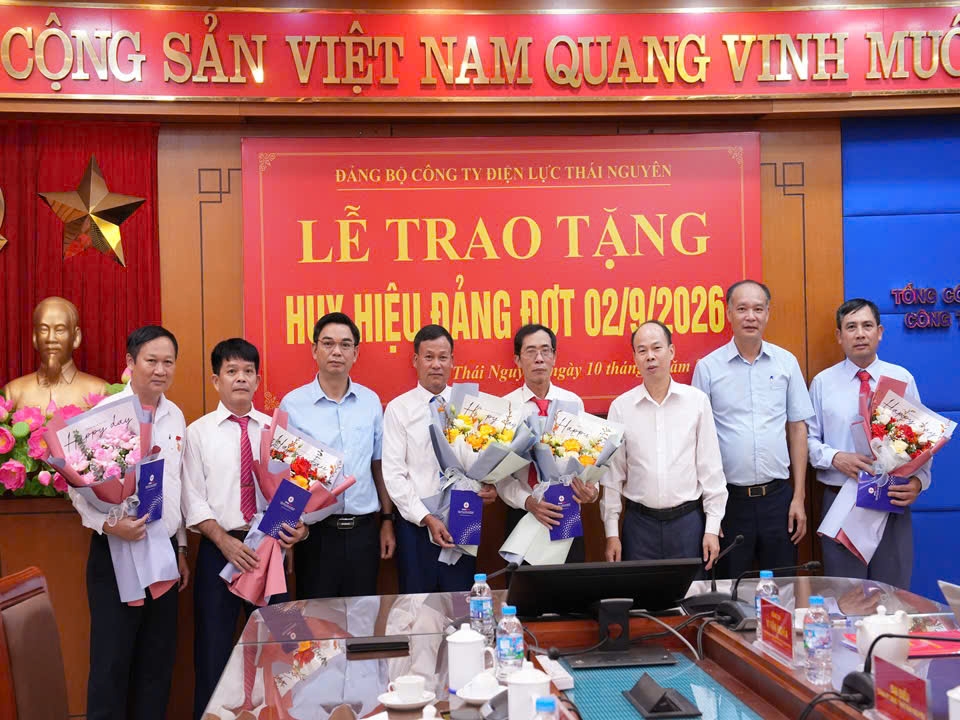 Vinh11
