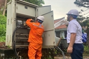 Sắc cam thầm lặng giữ ánh sáng cho Lễ hội Thành Tuyên