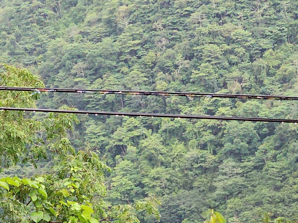 23. 1. Cáp quang bị động vật cắn