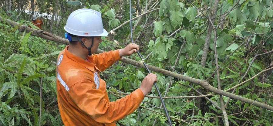 Giữ mạch kết nối giữa đại ngàn Mường Khương