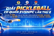 Sôi nổi trước thềm Giải Pickleball Cơ quan EVNNPC lần thứ II