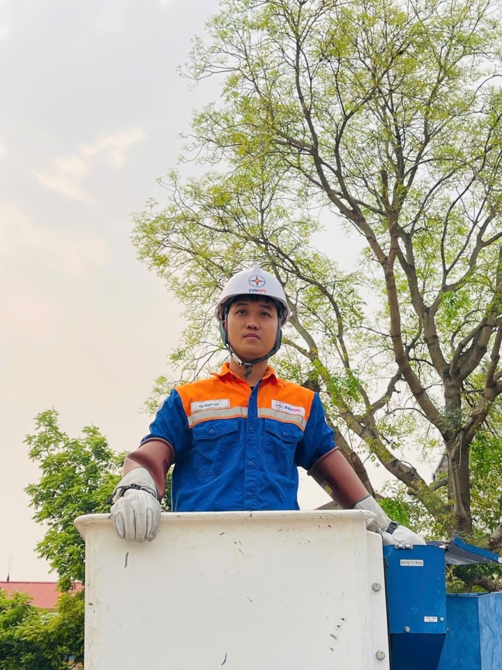 mạnh hải