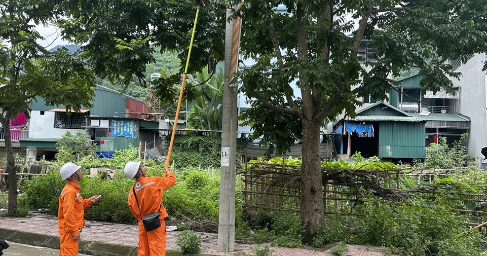 Người thợ Công ty Điện lực Điện Biên và cách biến mối nguy thành sáng kiến